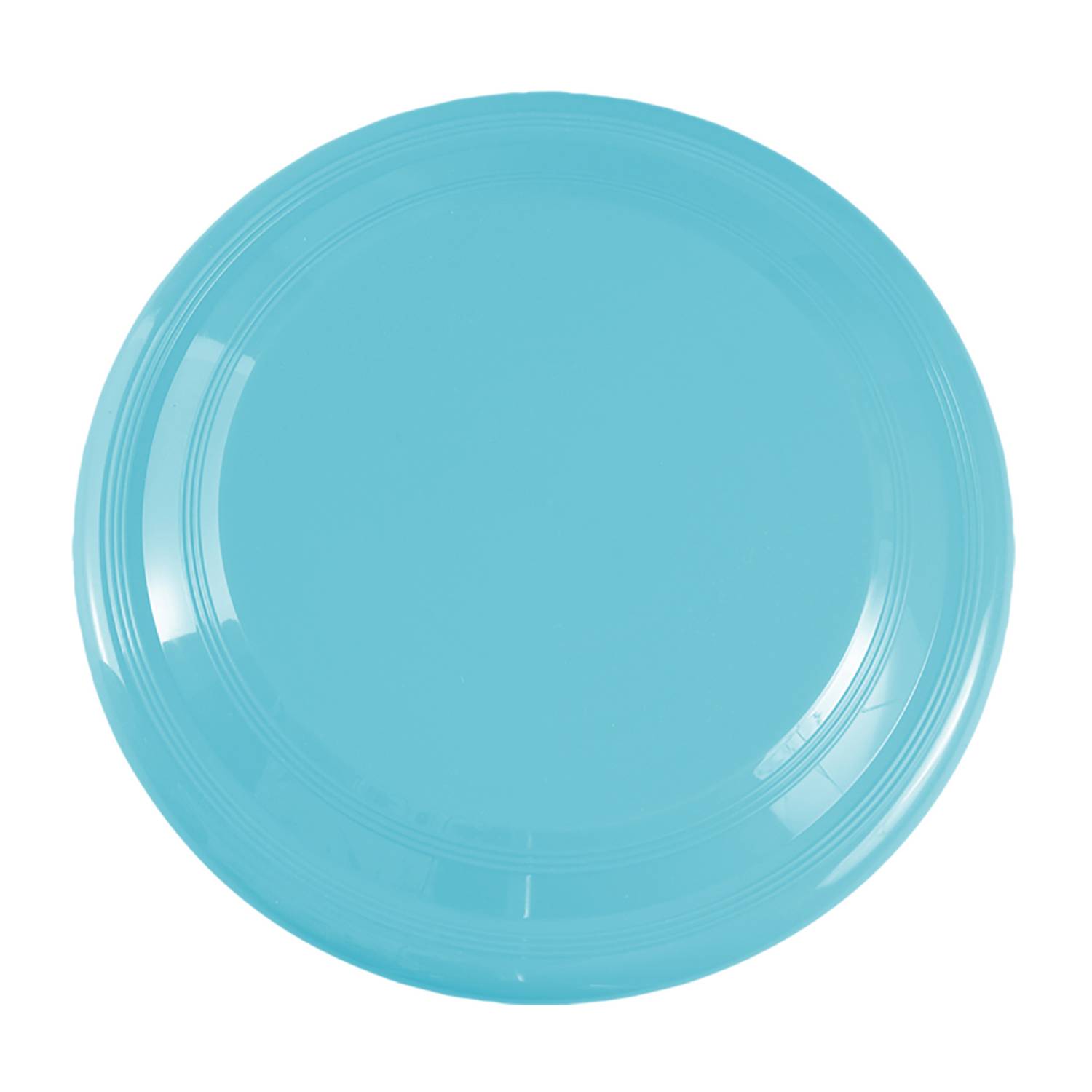 9 inch Flying Disc 24