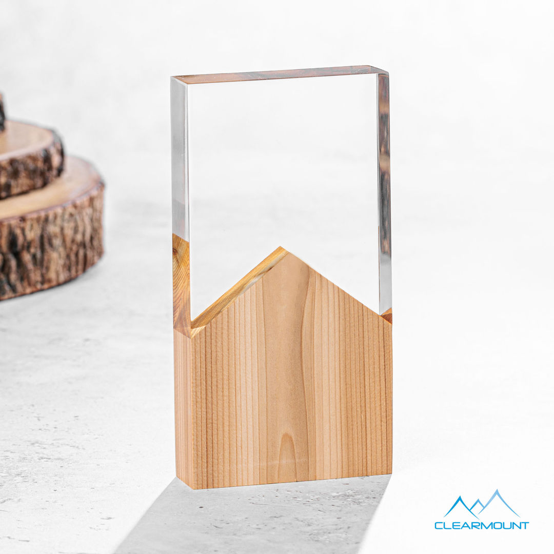 Montagnes Award 4