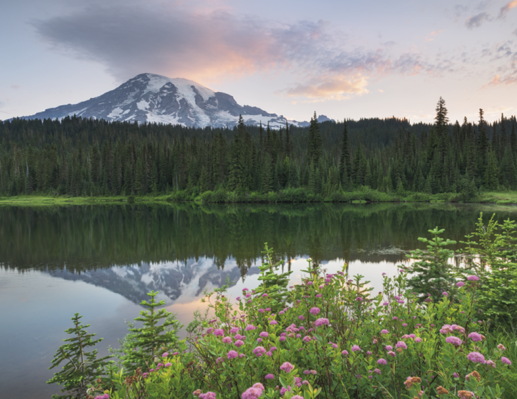 HotLine® Products Contemplations Appointment Calendar - Spiral 61