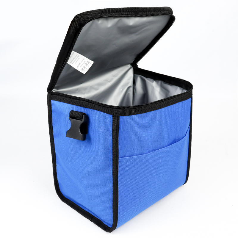 INSULATED LUNCH BAG 4