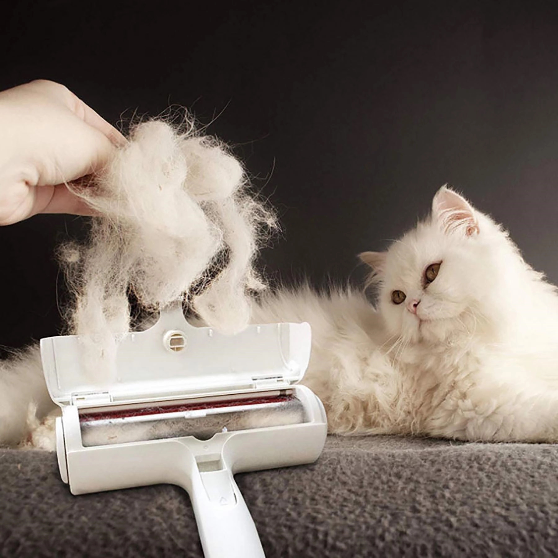 Reusable Pet Hair Remover 2