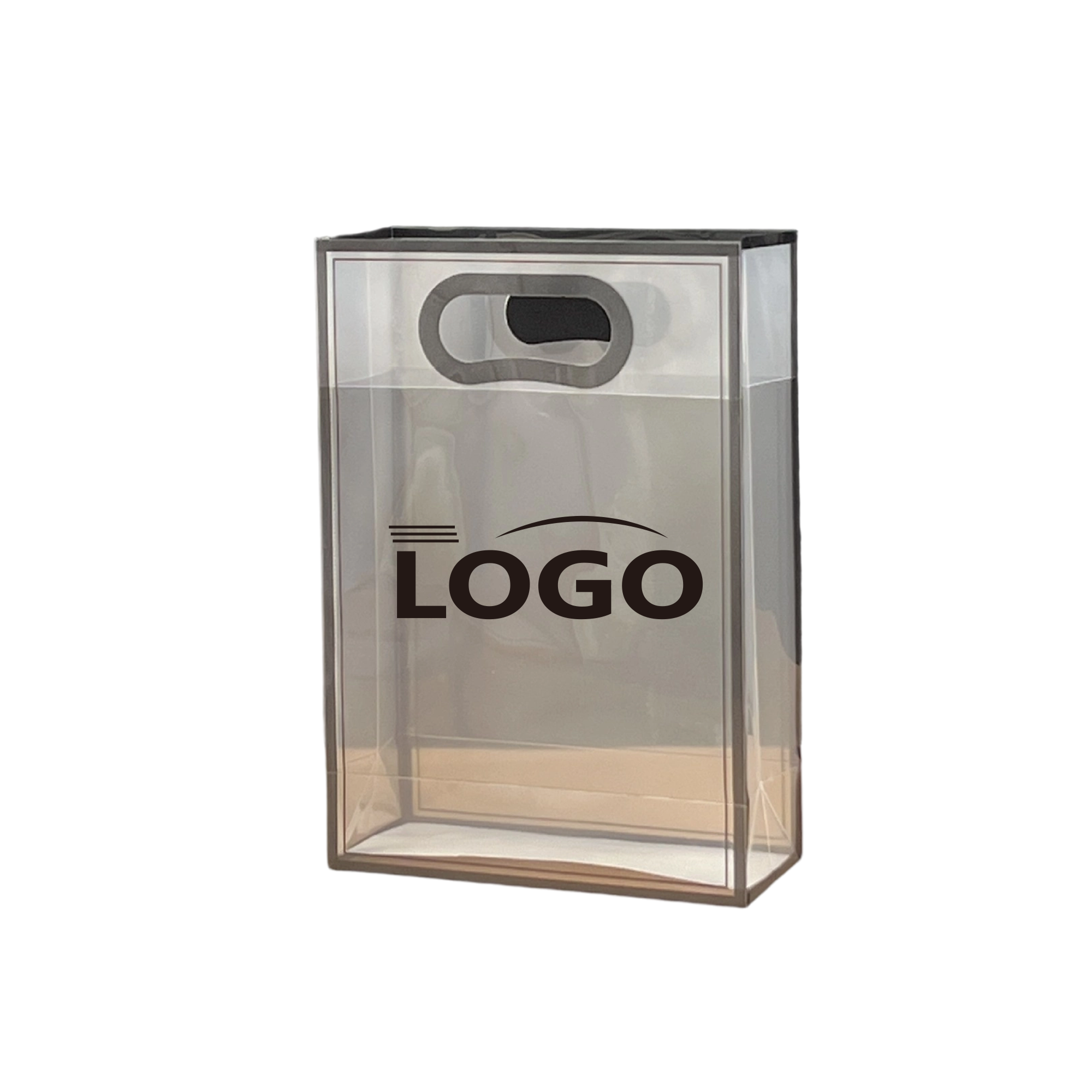 Frosted Transparent Polypropylene Carry Bag 2