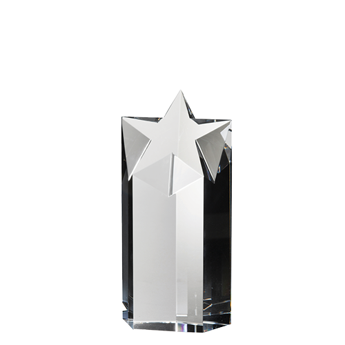 STARLITE AWARD SMALL 1
