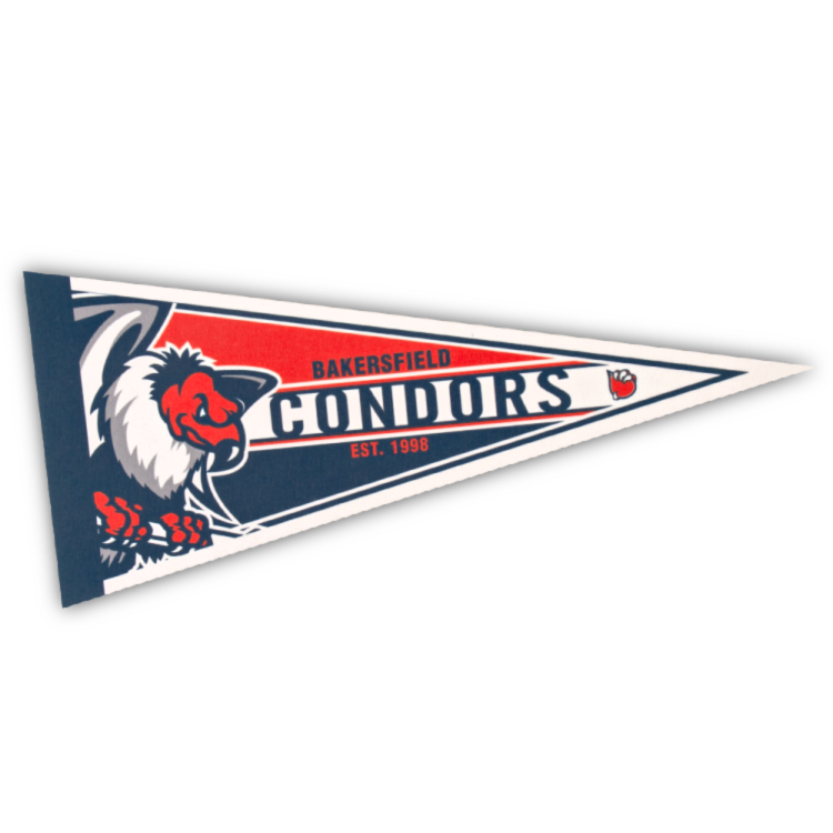 8" x 18" Full Color Felt Pennant, No Strip 2