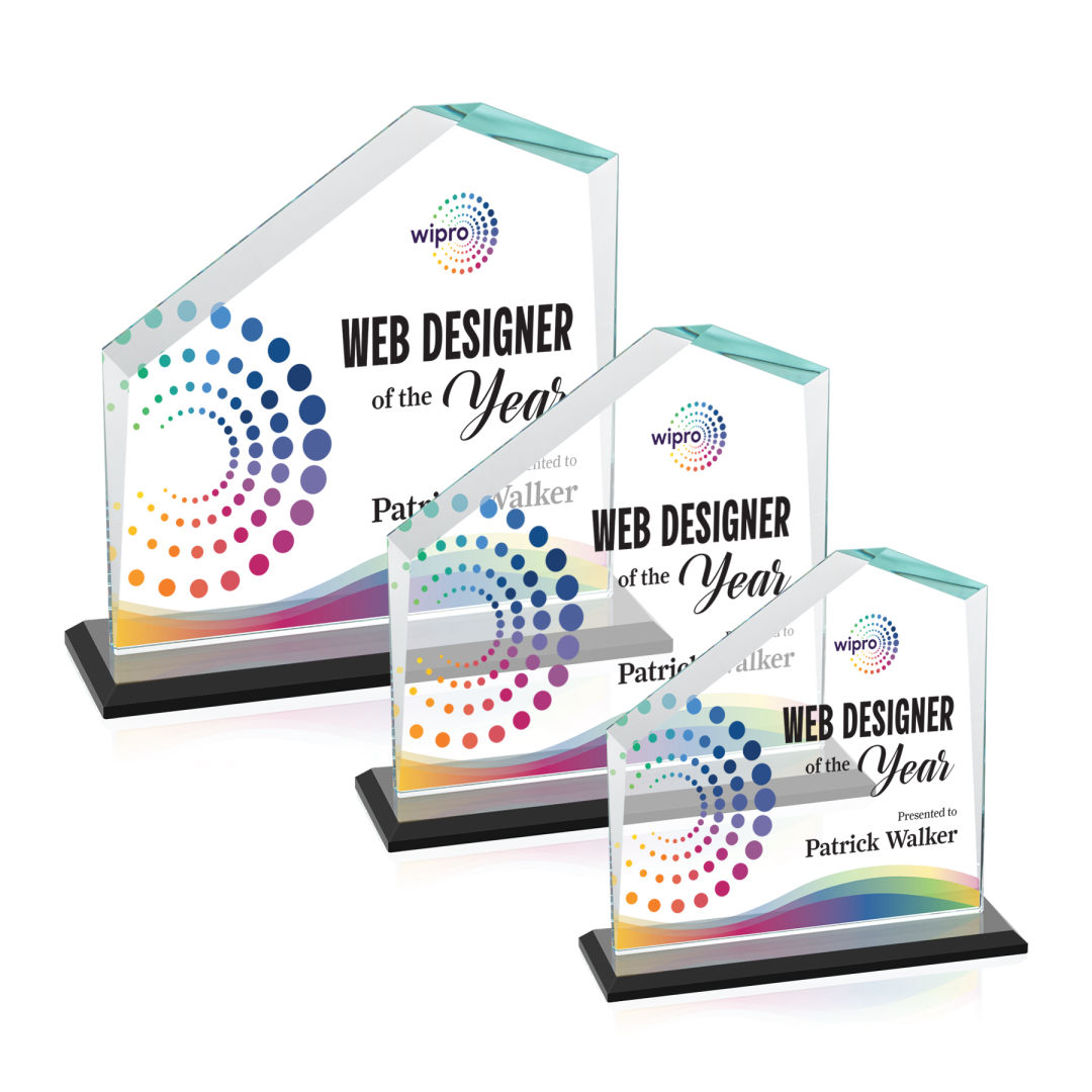 Fairmont VividPrint™ Award - Black