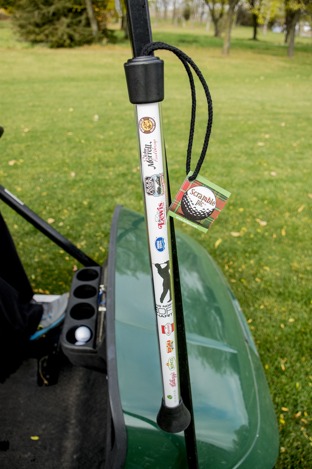 Scramble Pic Golf Tool 7