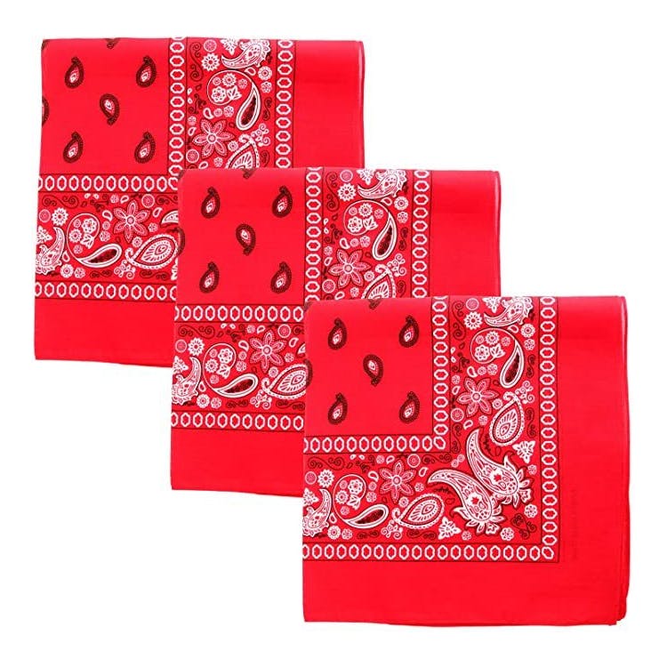 Cotton Bandanas - Paisley Bright Red 2