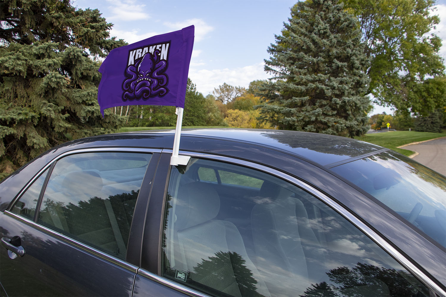 Car Flag Kit Double-Sided 2