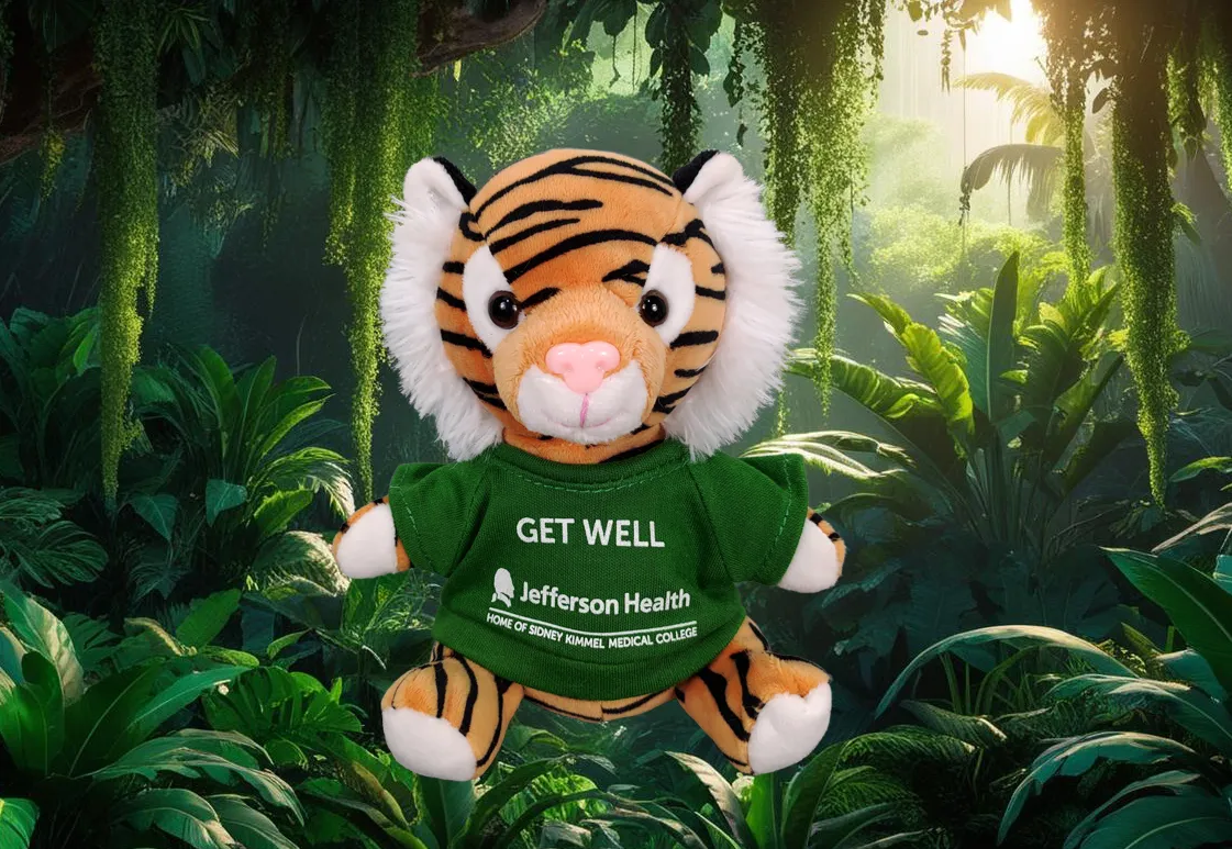 6" Beanie Tiger Plush 3