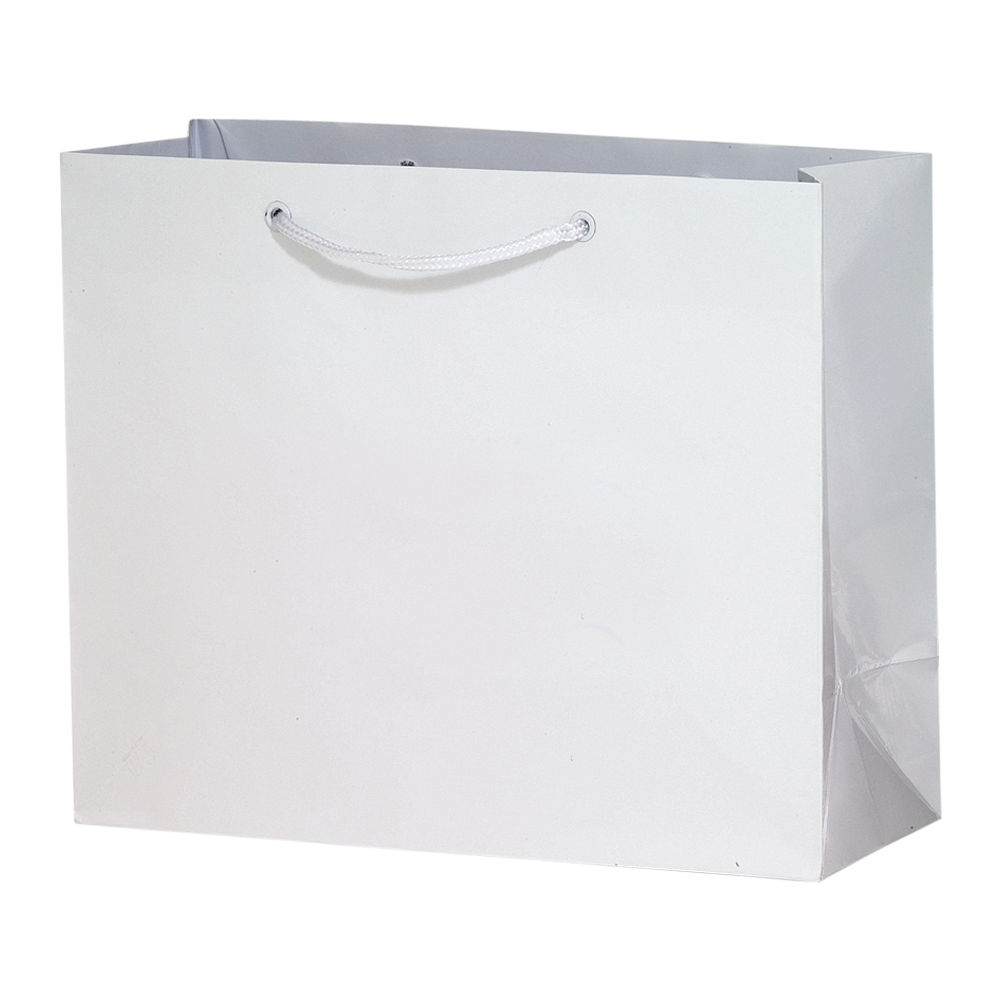 2-Bottle Luxury Laminated Paper Horizontal Tote 4