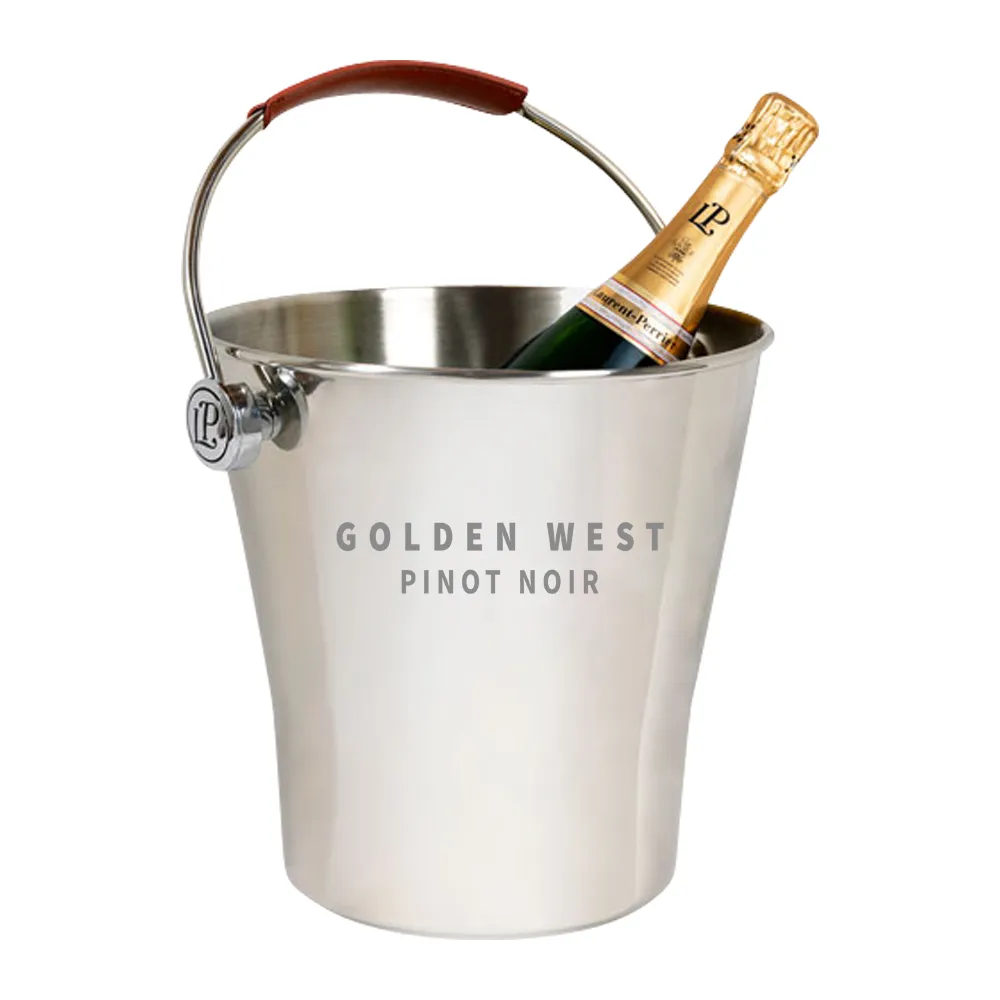 Small Metal Perrier Ice Bucket 3