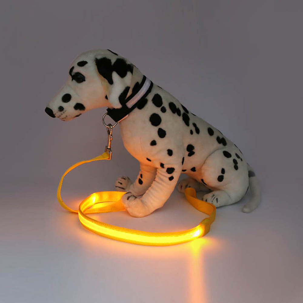 LED Dog Leash 3