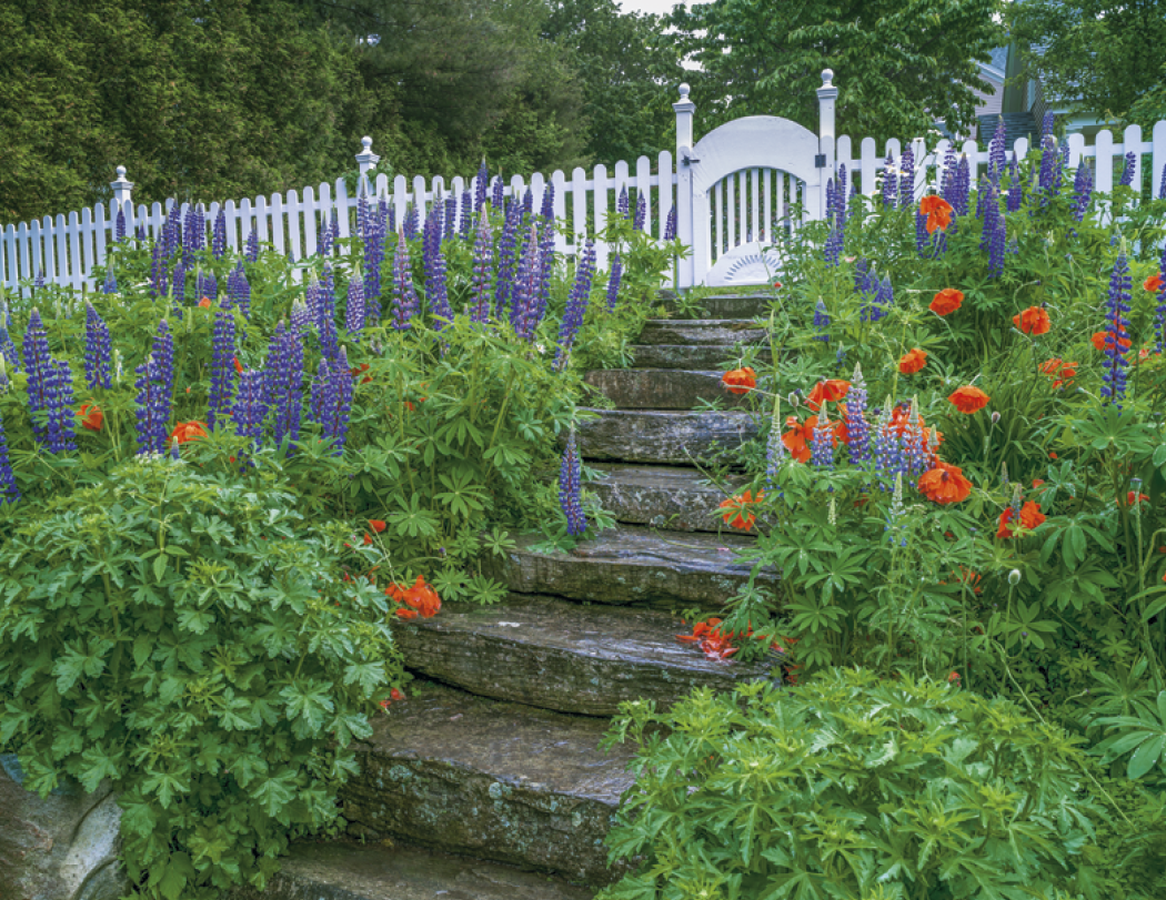 HotLine® Products Gardens Appointment Calendar - Stapled 62