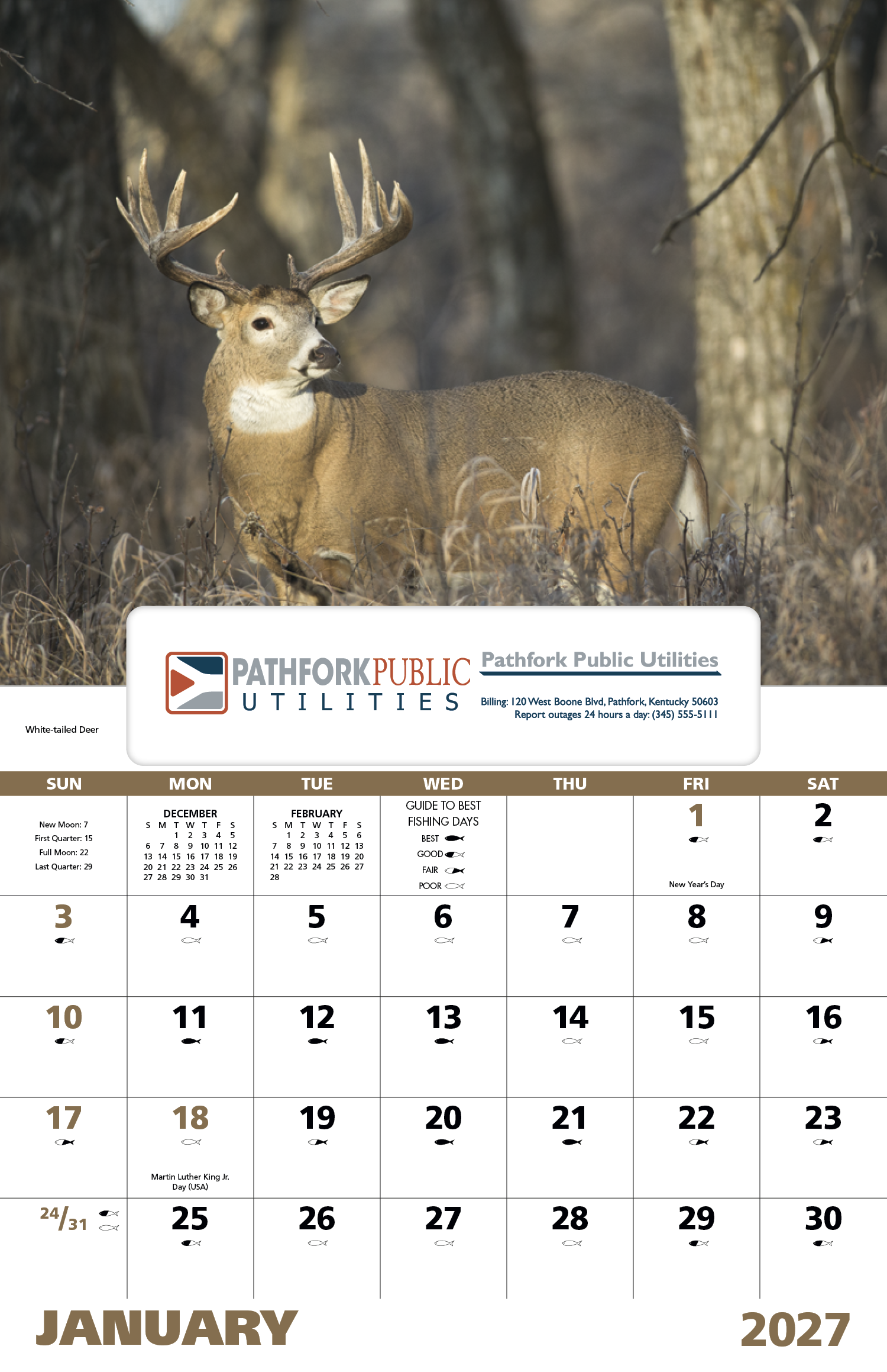 Good Value™ Wildlife Portraits - Window Calendar 50