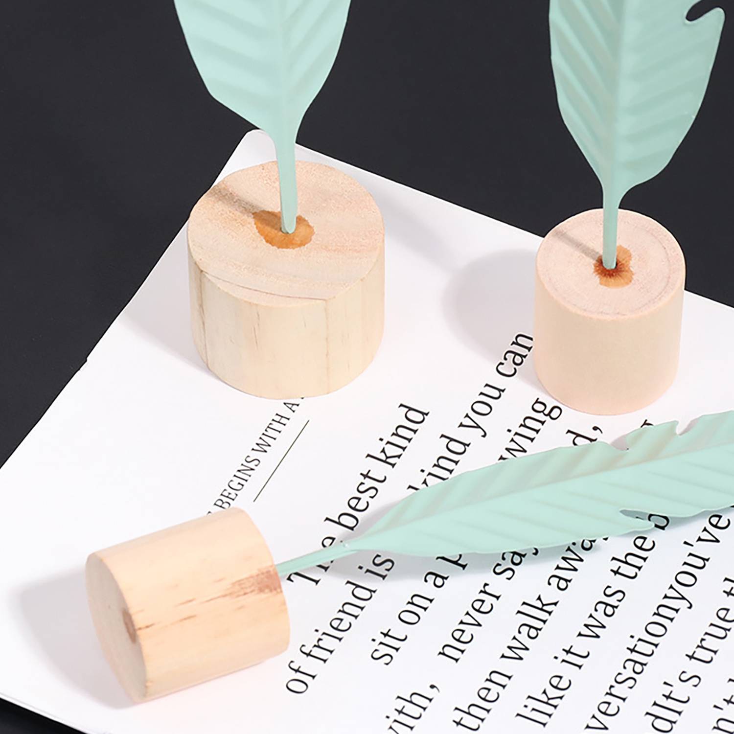 Elegant Home Decor Feather Decoration W/ Wooden Base 4