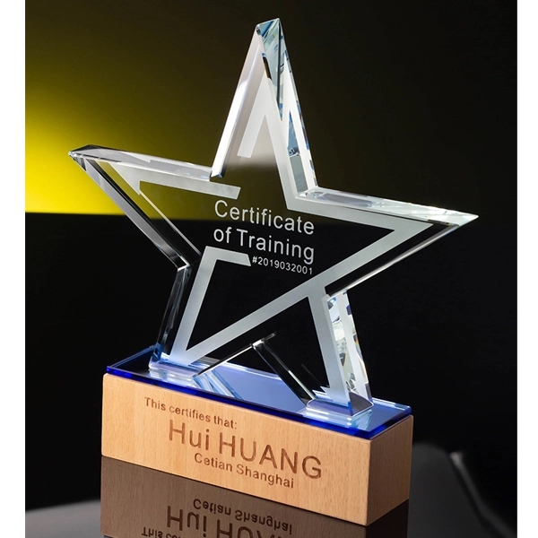 Crystal Star Wood Award 4