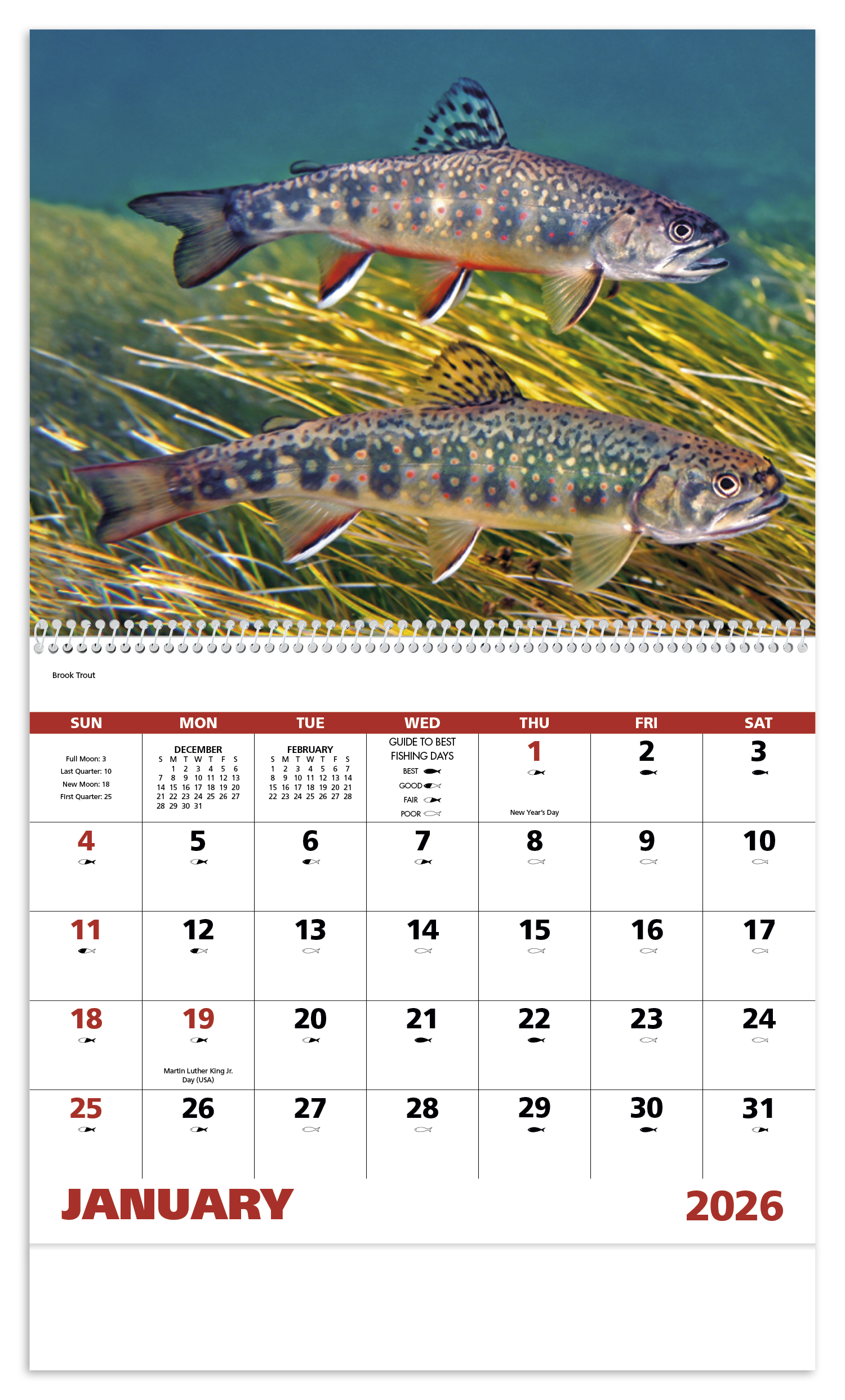 Good Value™ Fishing - Spiral Calendar 39