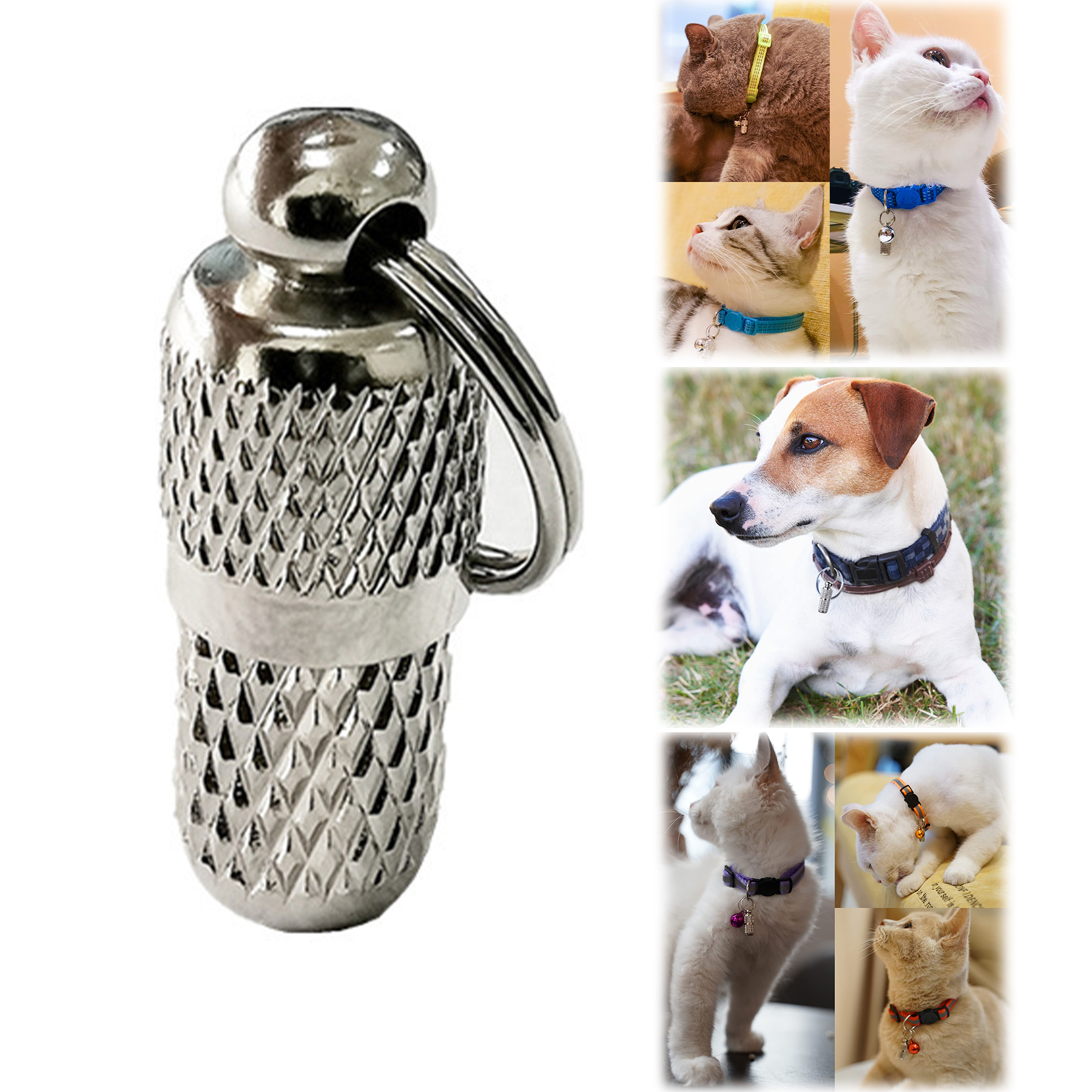 Pet ID Tags