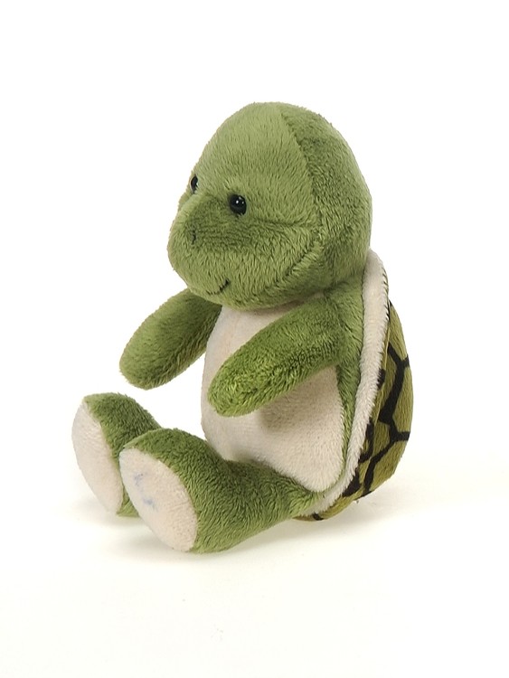 6" Lil' Turtle 1