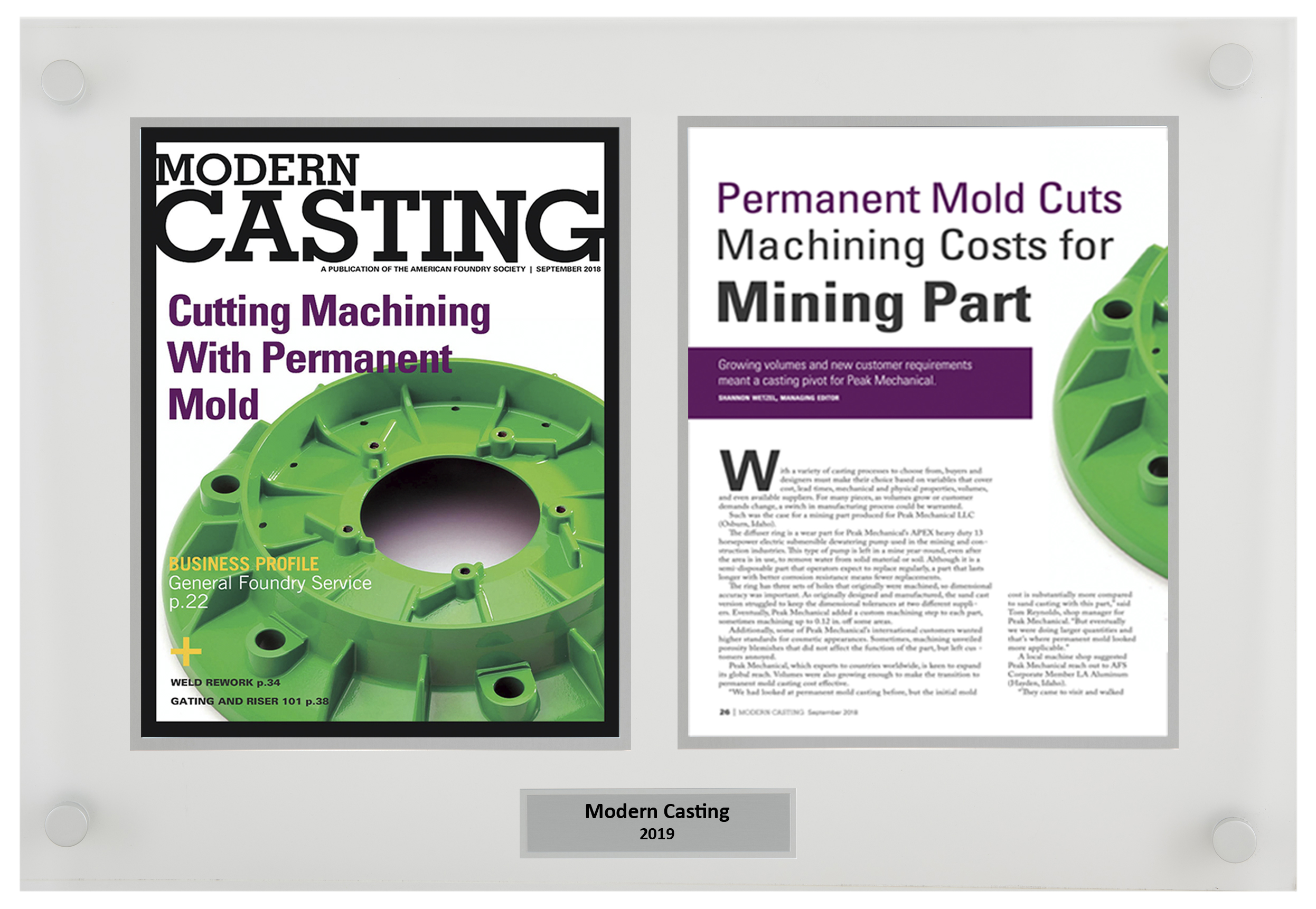 Celebrity Media Award Plaque