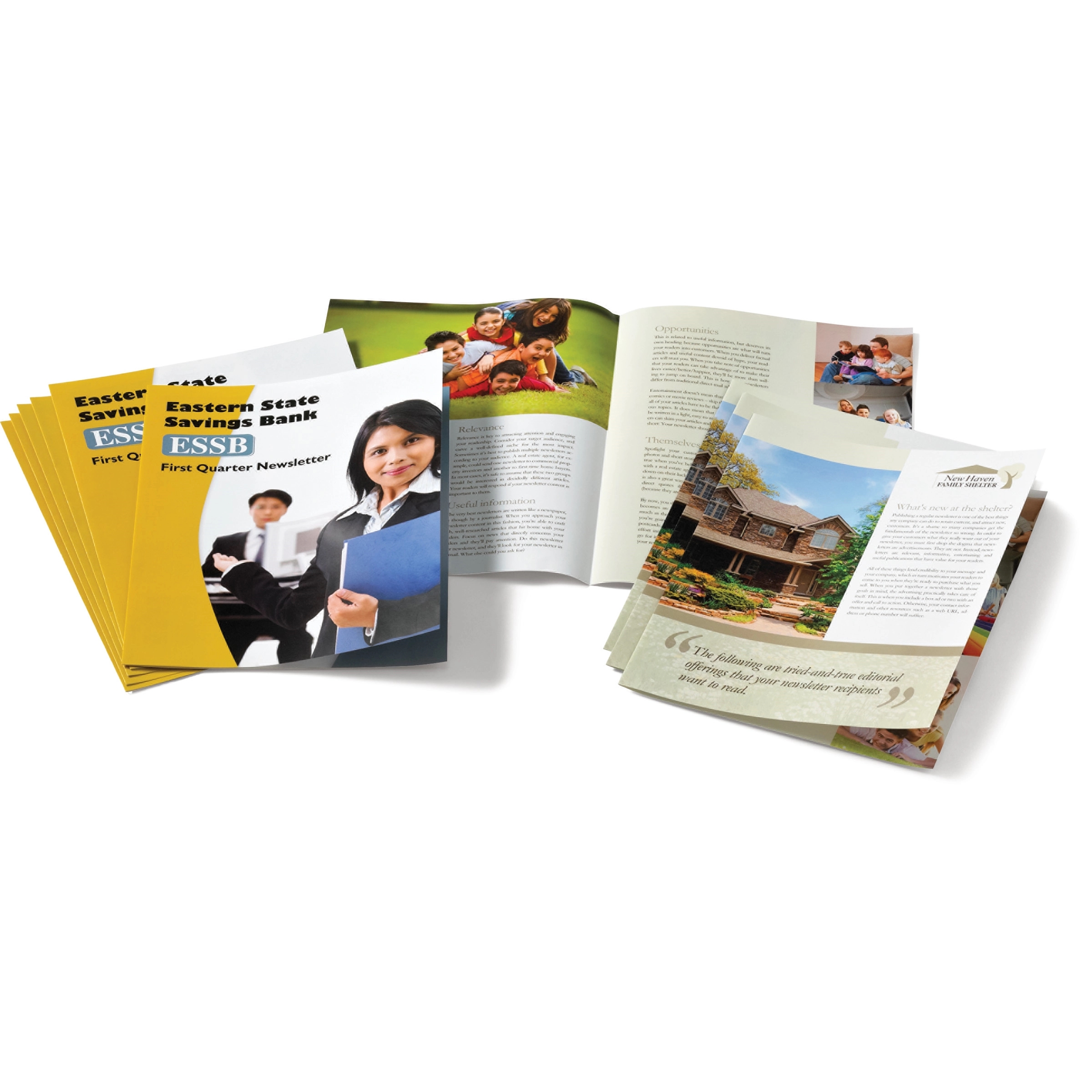 Newsletter, Full Color - With 3/16" 3-Hole Punches 2