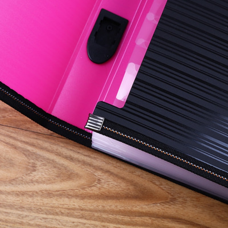 Expandable Accordion A4 File Folder with 13 Pockets 10