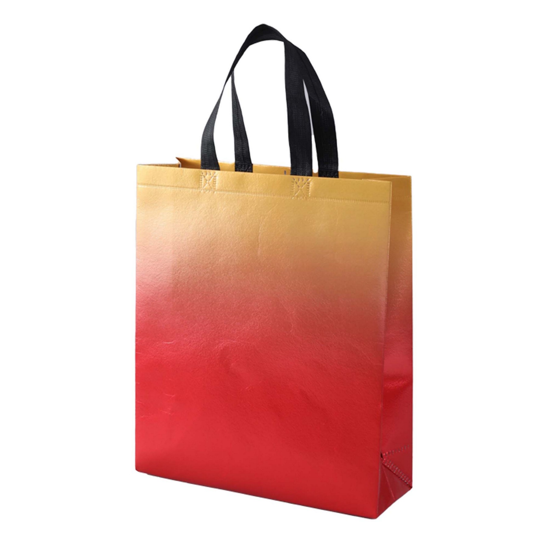 Gradient Laminated Gift Bag 3