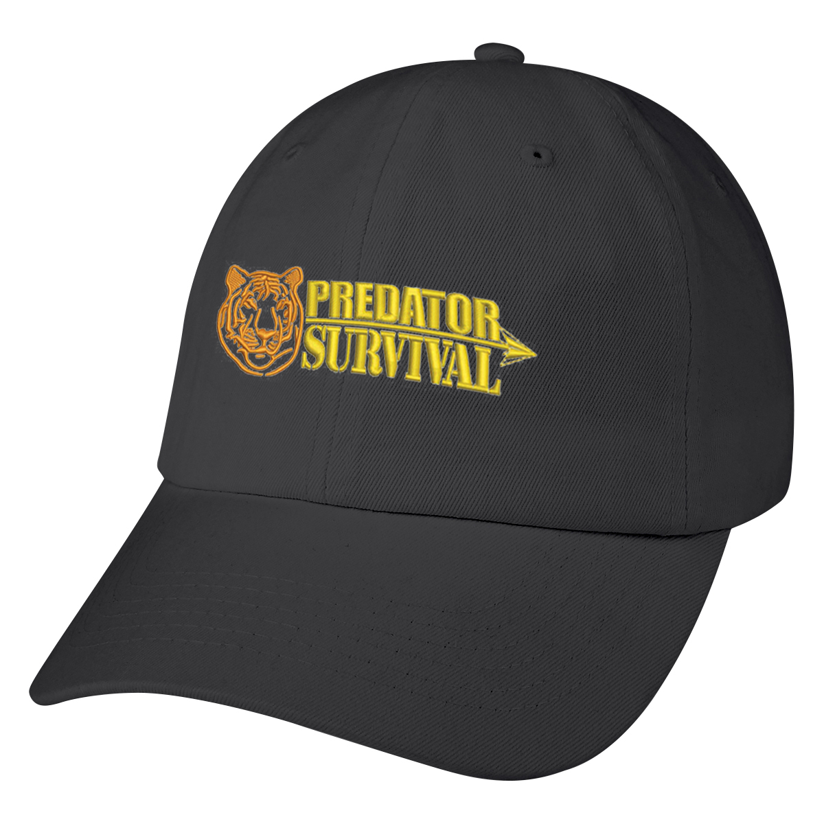 Washed Cotton Cap 22
