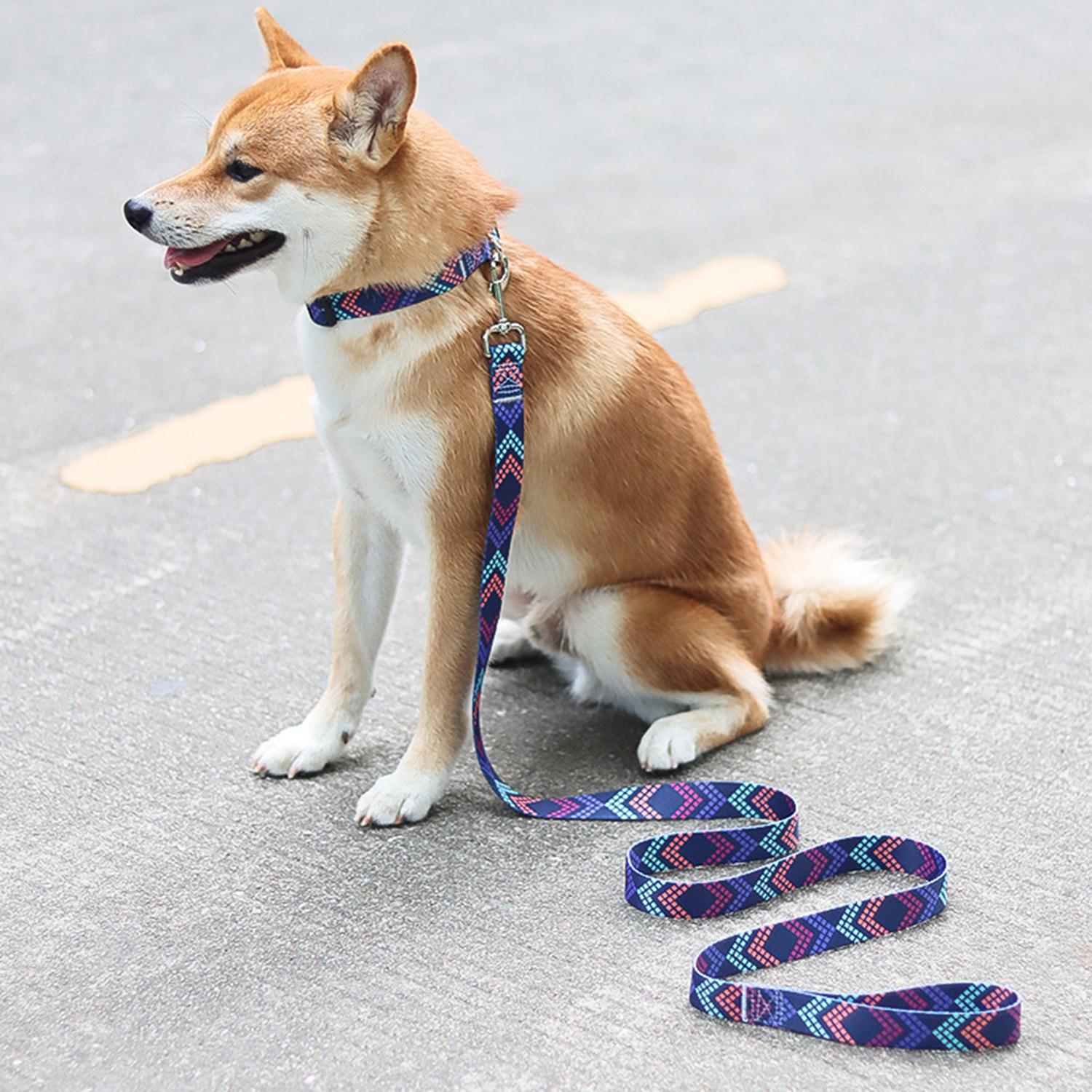 Soft Premium Polyester Strong Durable Pet Leash 4