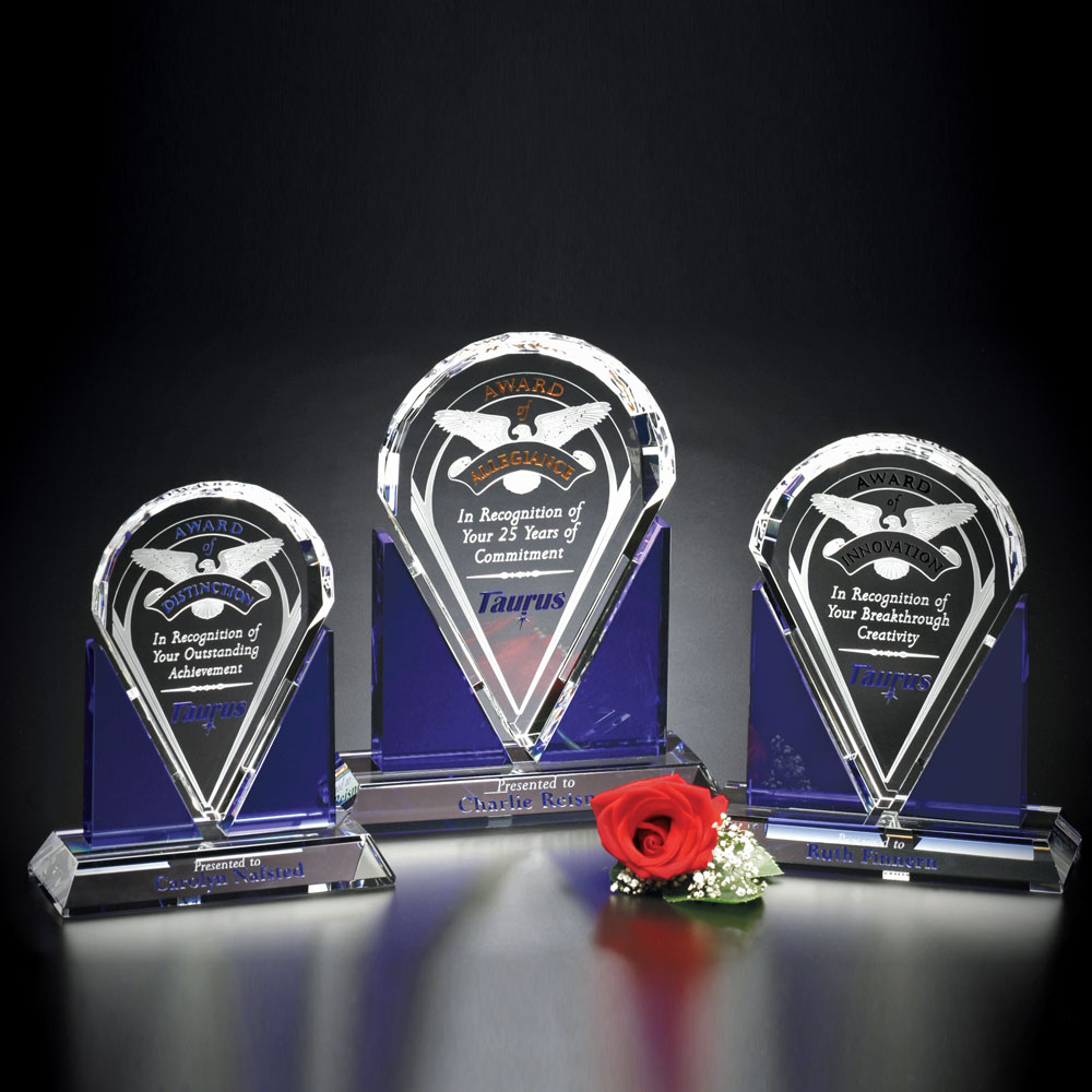 Distinction Award 7