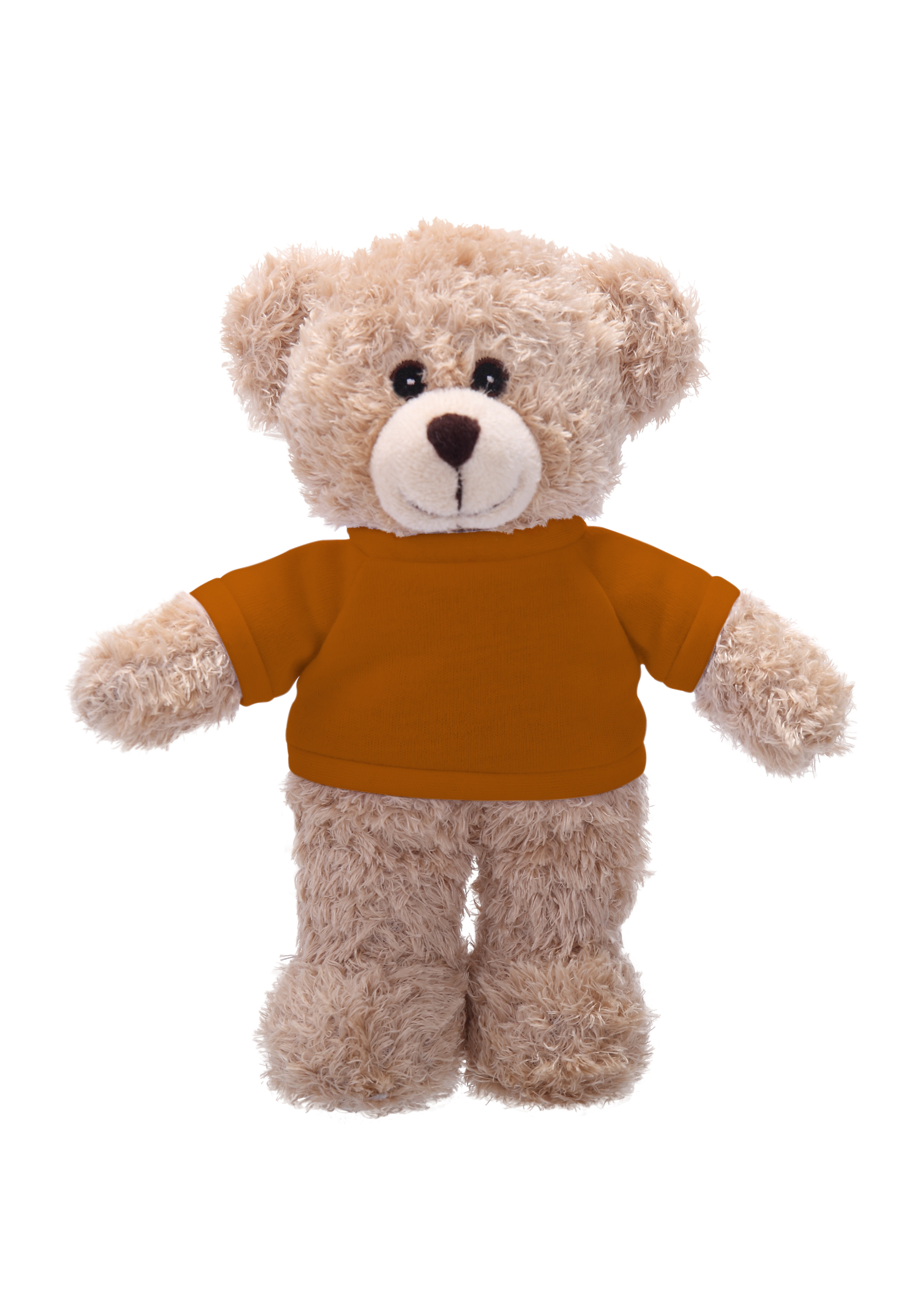 Soft Plush Tan Bear with Tee 5