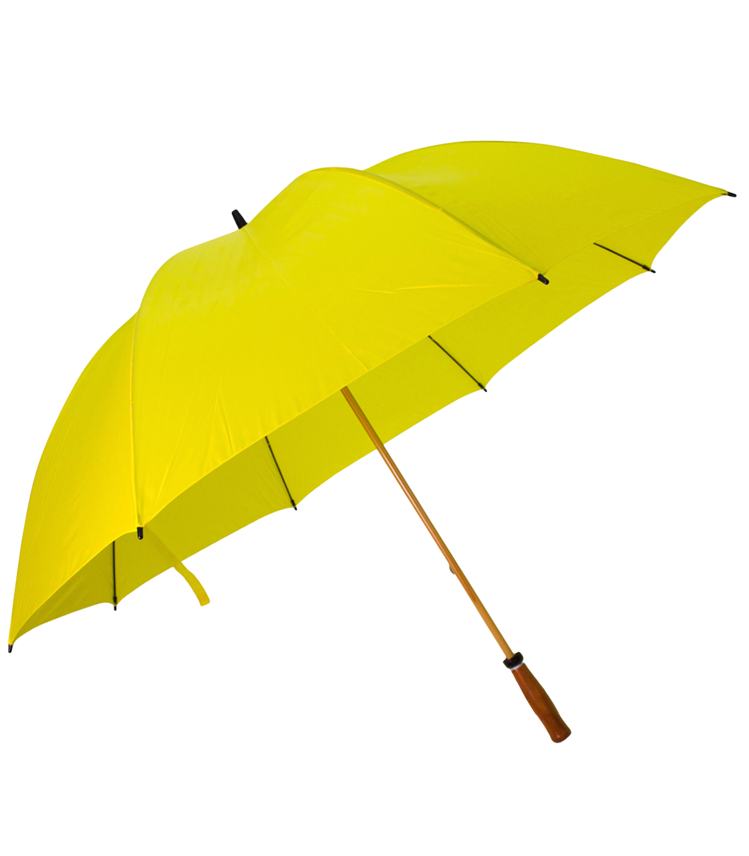 The Mulligan Golf Umbrella 8