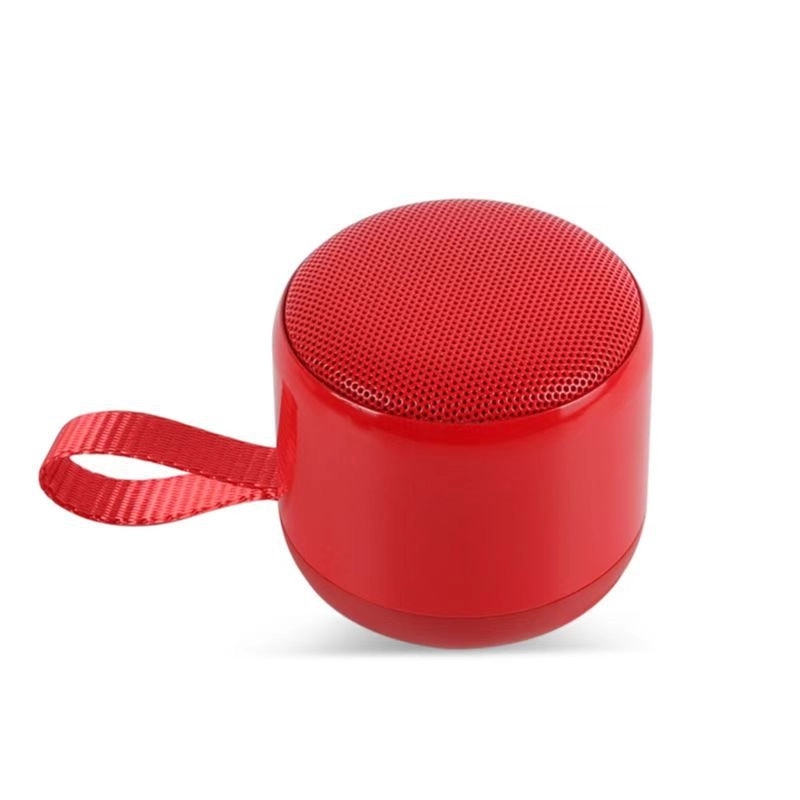 Custom Portable Wireless Speaker for party 13