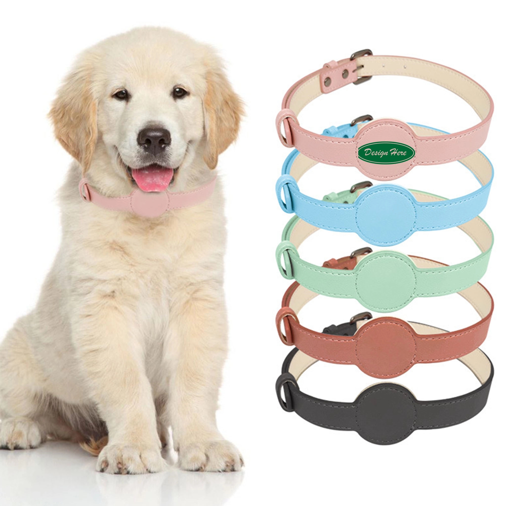 Pet Collar 1
