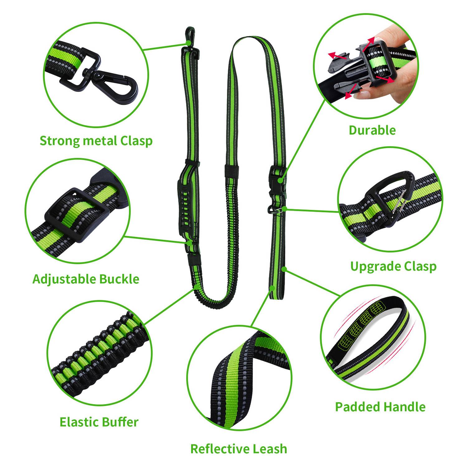 Pet leashes 5