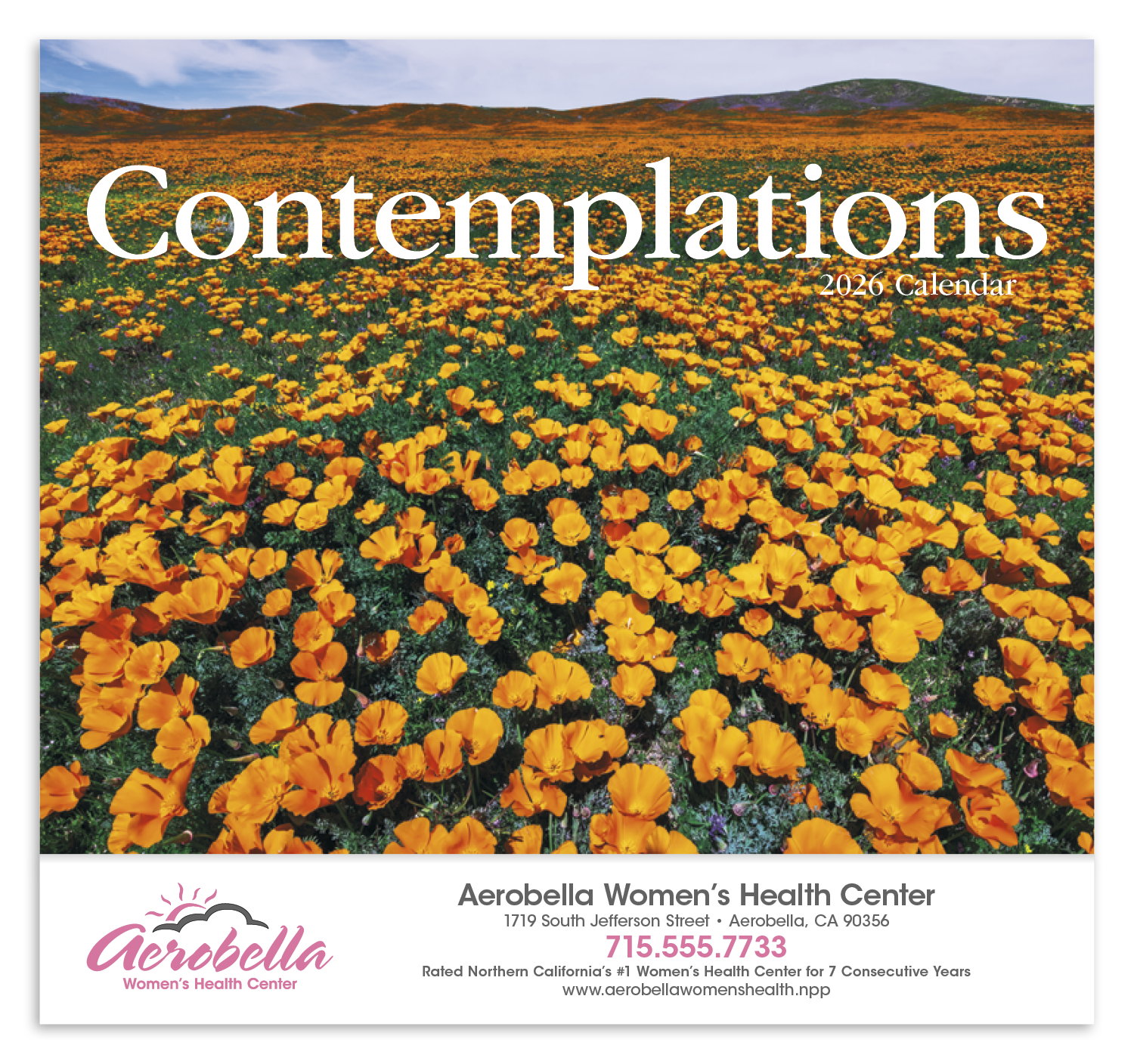 HotLine® Products Contemplations Appointment Calendar - Stapled 6