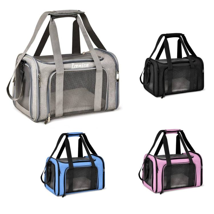 Pet Carrying Case 2
