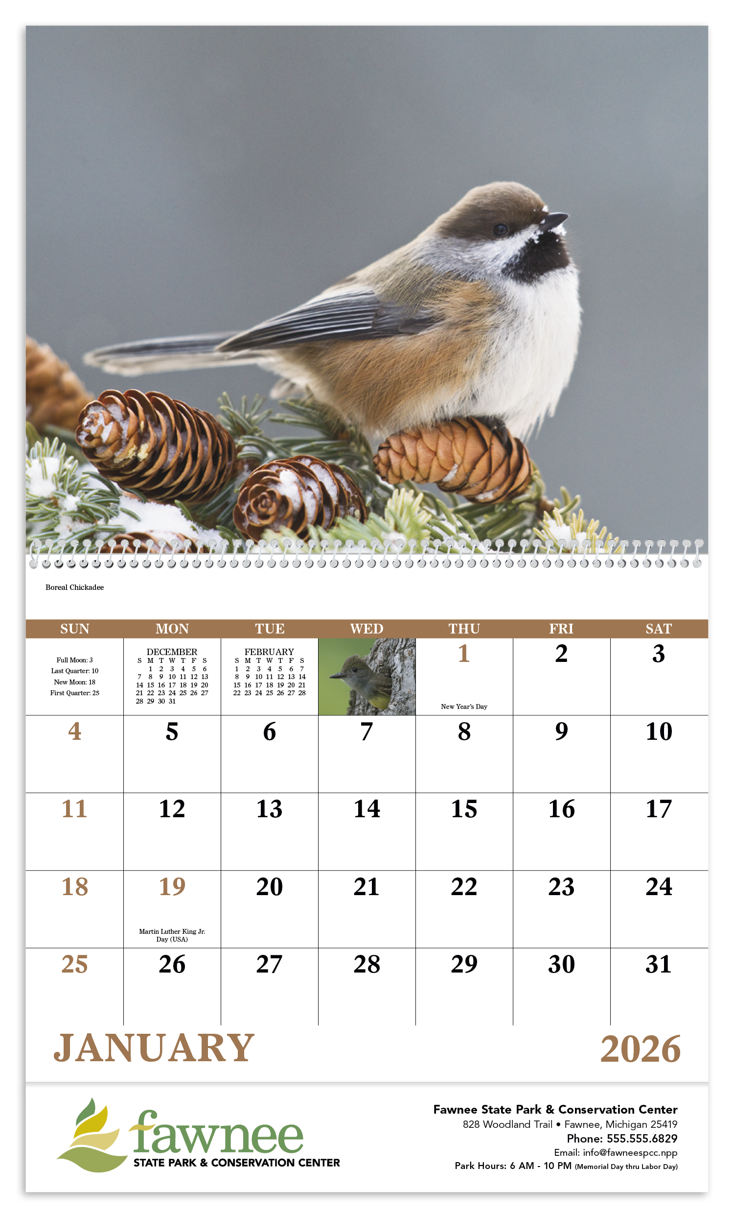 Good Value™ Birds of North America - Spiral Calendar 19
