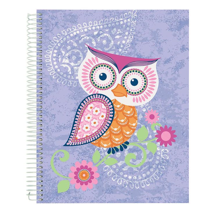 Flying Beauties Journal Notebooks Assorted 2