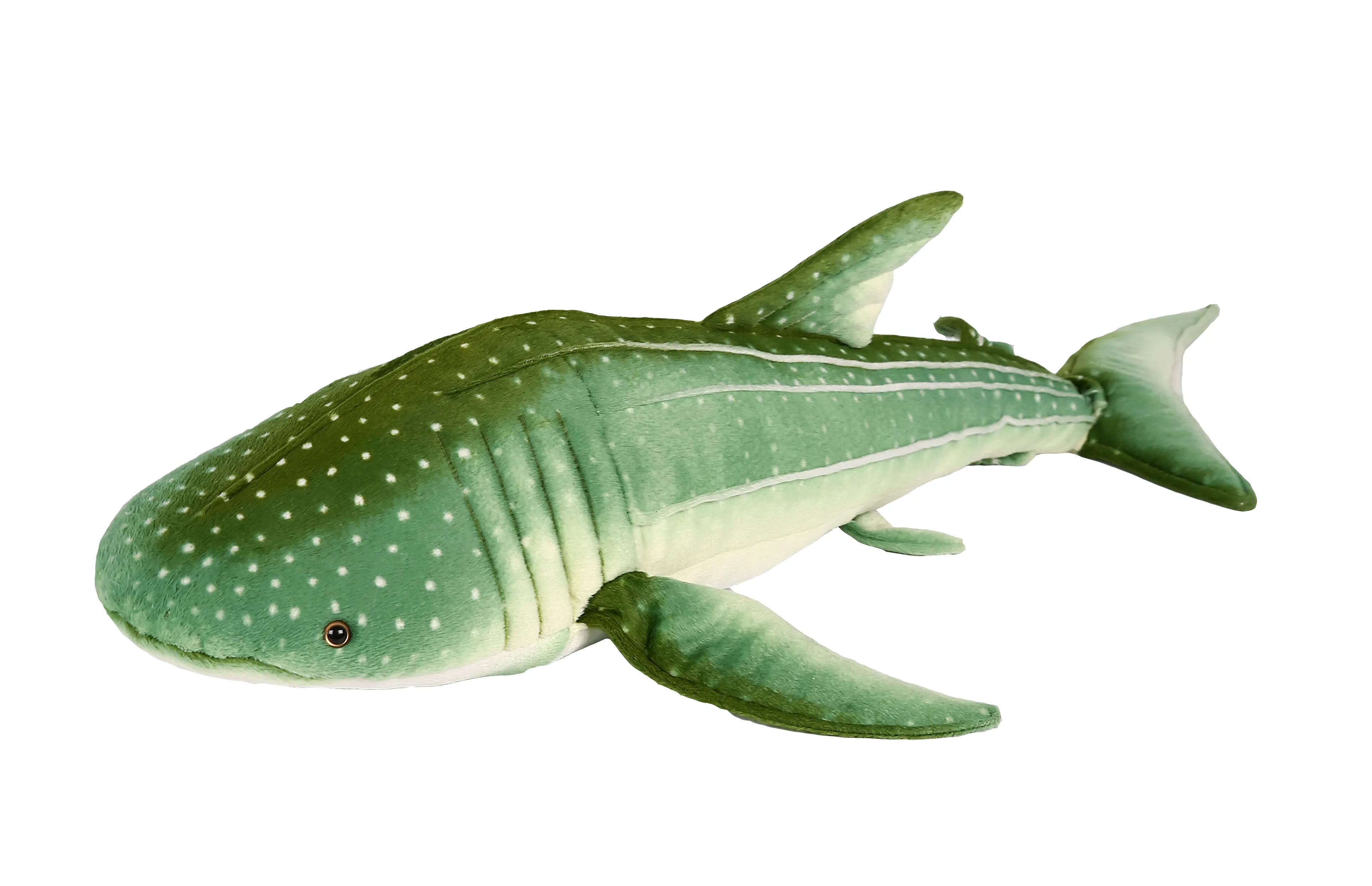 Blue and Green Sharks 2