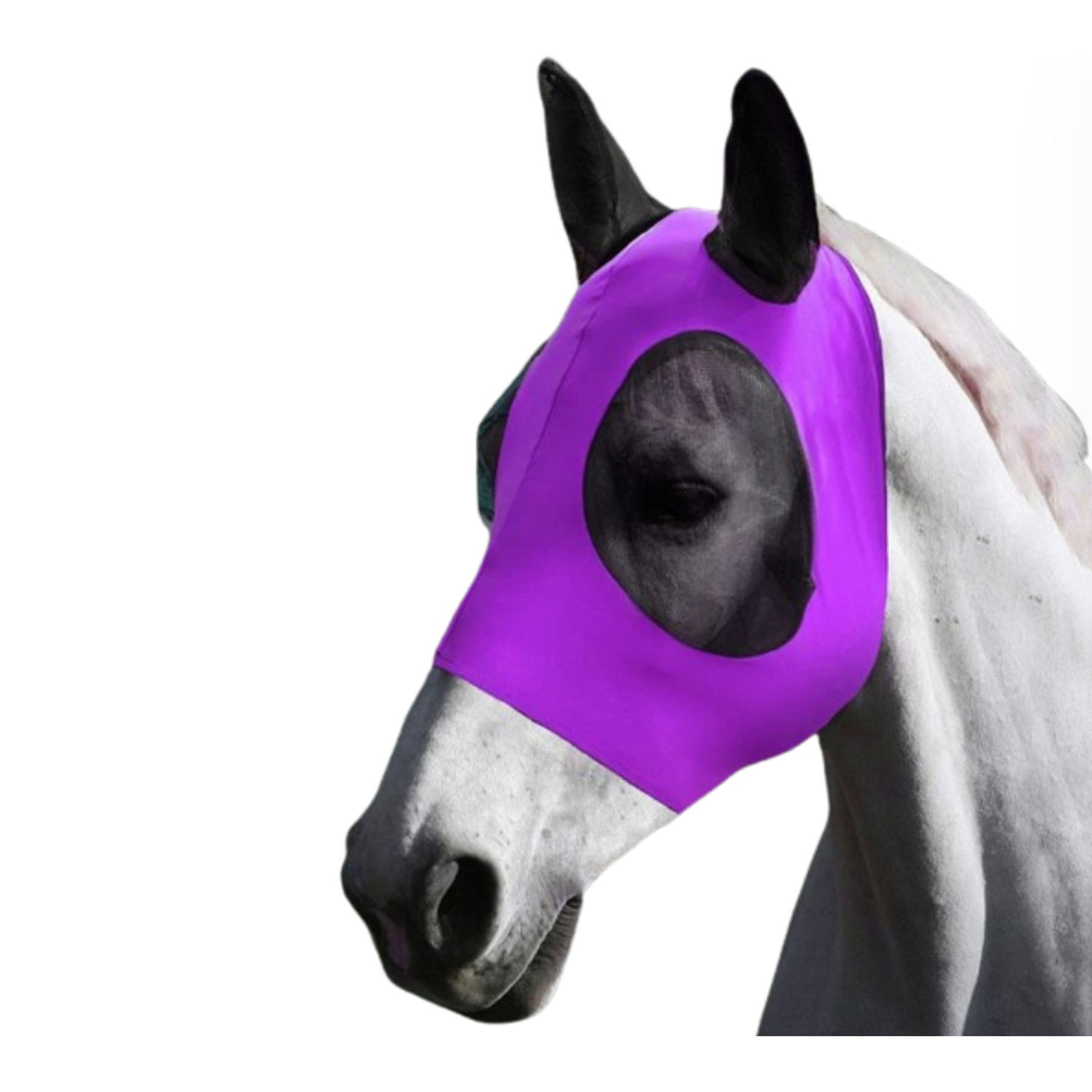 Horse Fly Mask 5