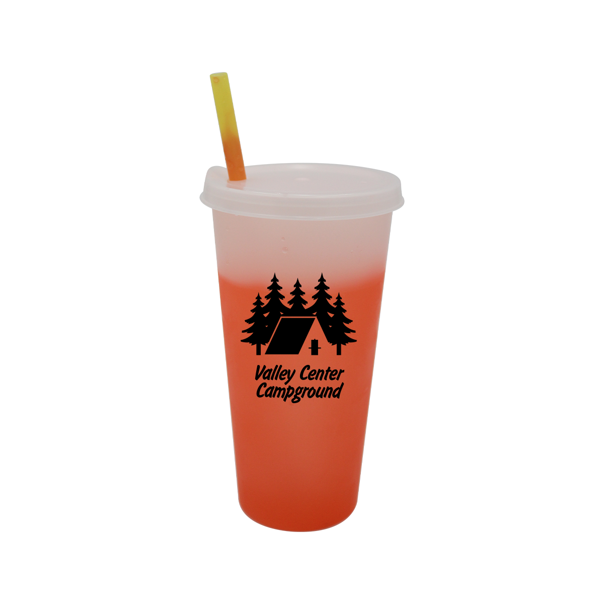 Mood™ 26 oz. Tumbler with Lid and Straw 39