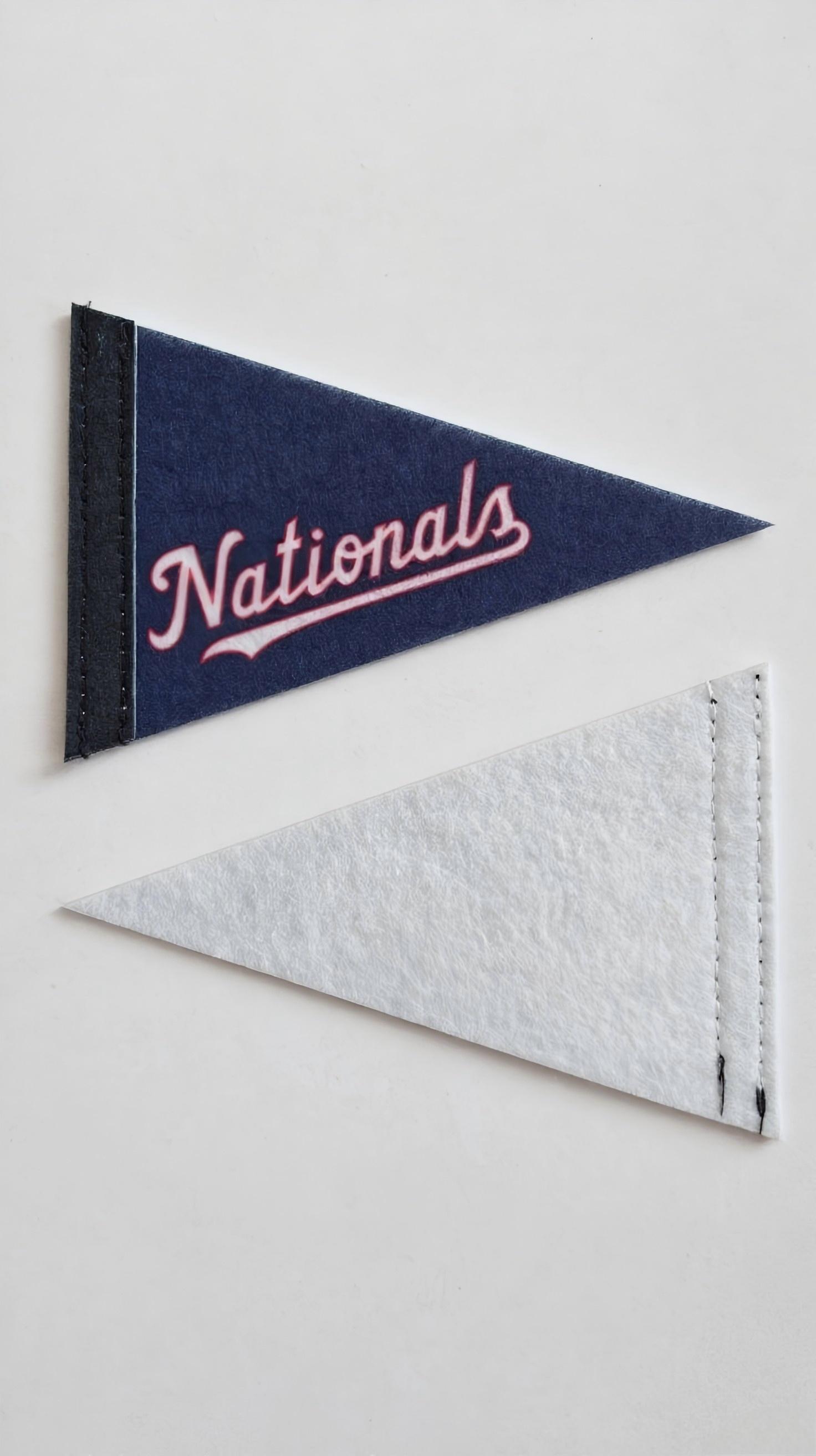 Flag pennant 2