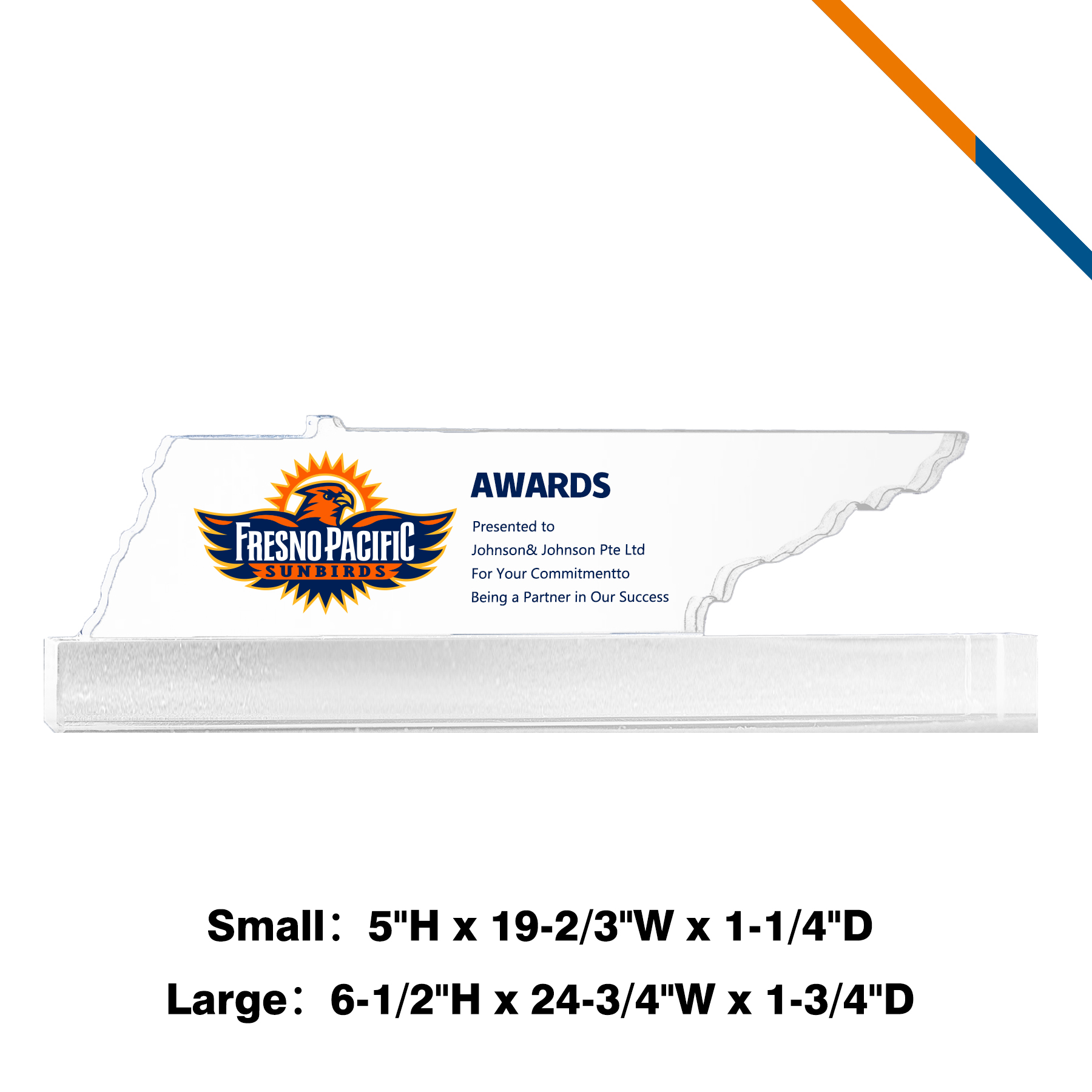 Sapiment Tennessee Map Award 4