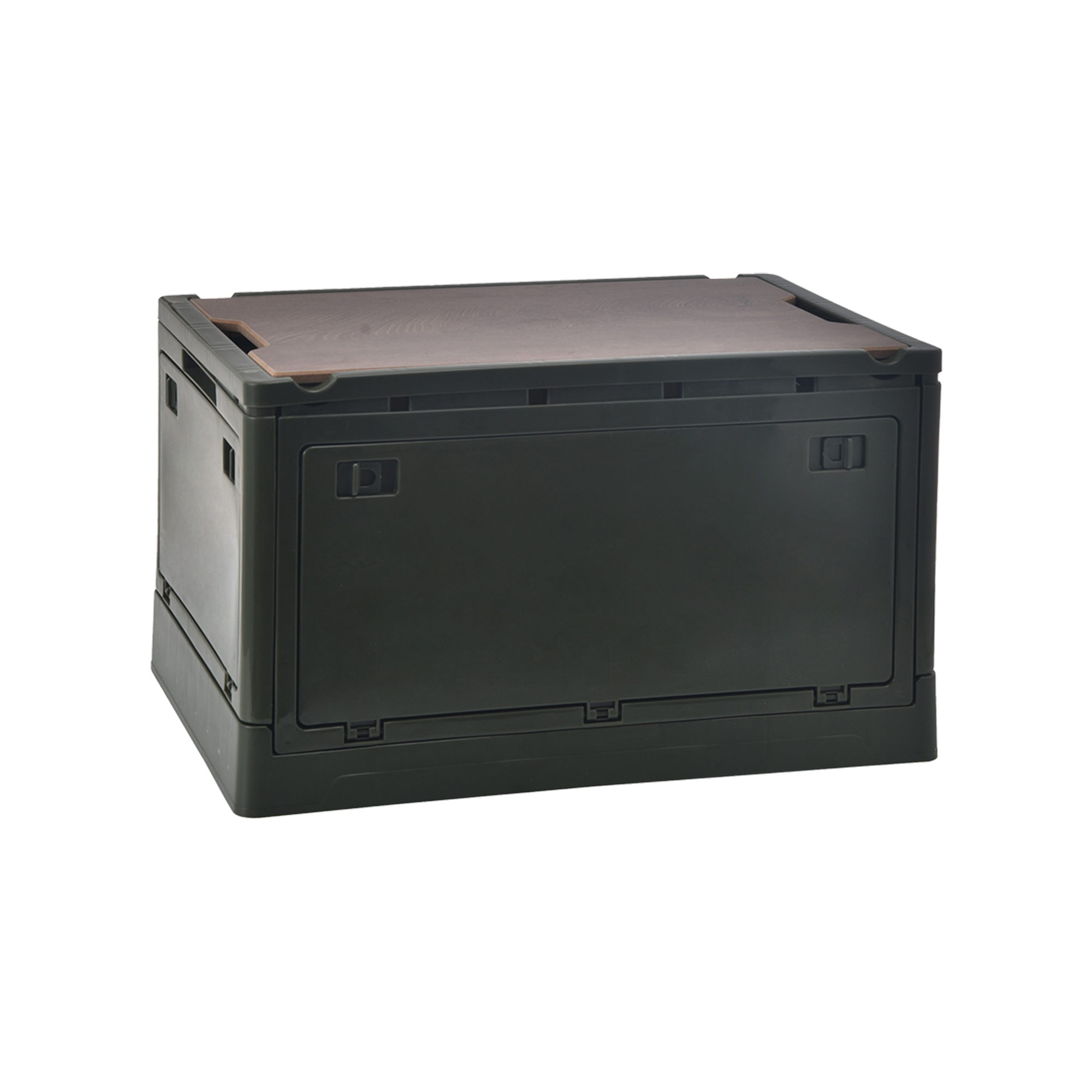 Plastic Trunk Storage Box 11