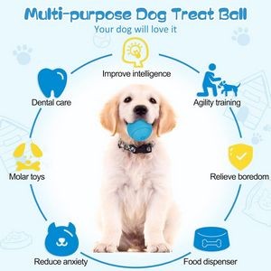 Dog Biting Toy 4