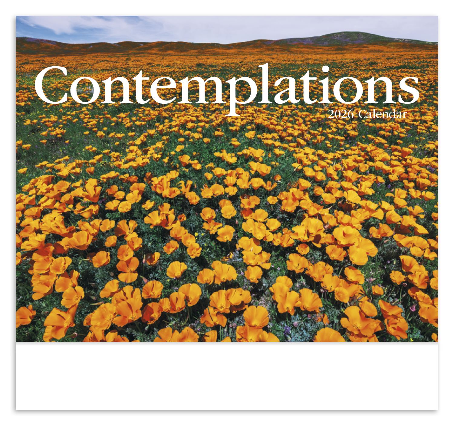 HotLine® Products Contemplations Appointment Calendar - Stapled