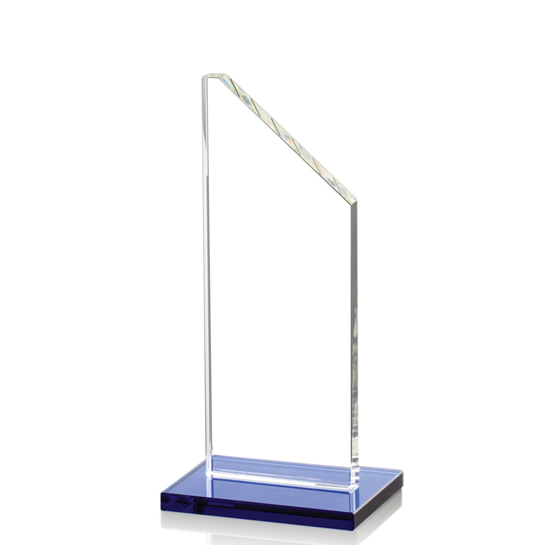 Dixon Award - Blue 10