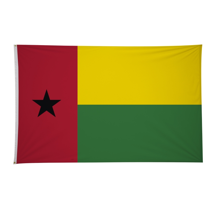 5' x 8' International Flags 61