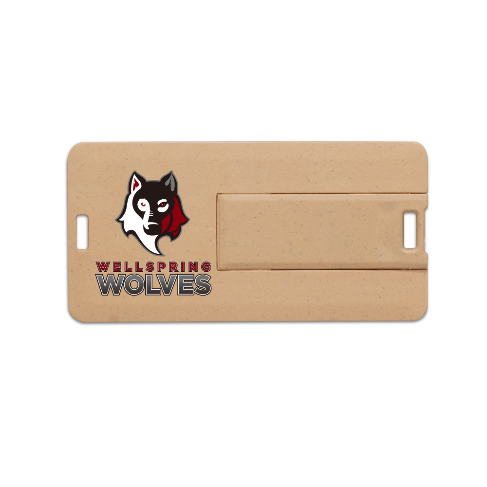 Franklin Eco-Friendly Mini Swivel Card USB 6